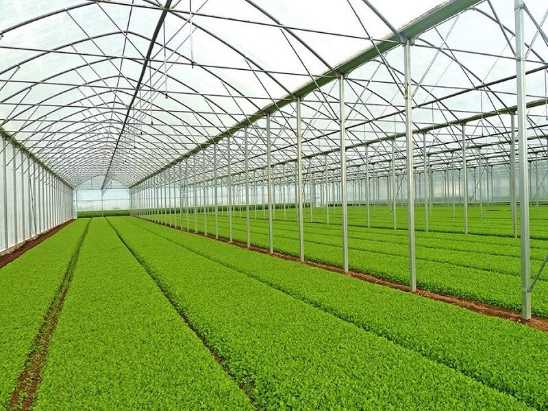 طرح توجیهی احداث شهرک گلخانه ای محصولات کشاورزی برای بانک