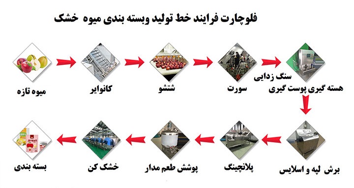 فرایند تولید میوه خشک