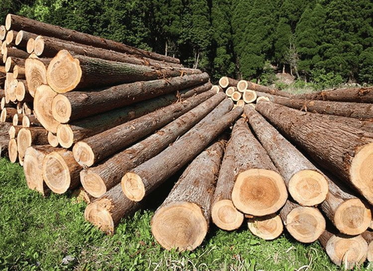 دربارۀ کسب و کار زراعت چوب