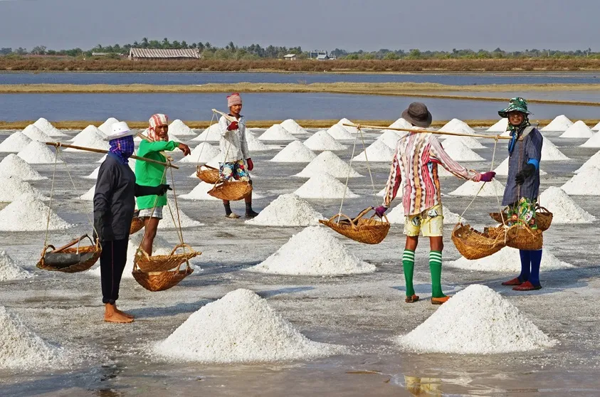 نمک دریا چگونه تهیه میشود