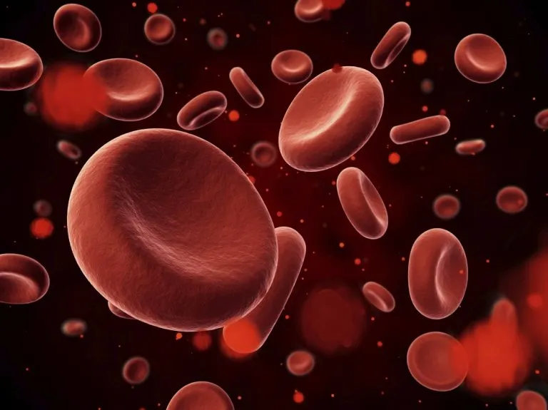 ✔️ سرفصلهای طرح توجیهی تولید پلاکت خون و پلاسمای خون