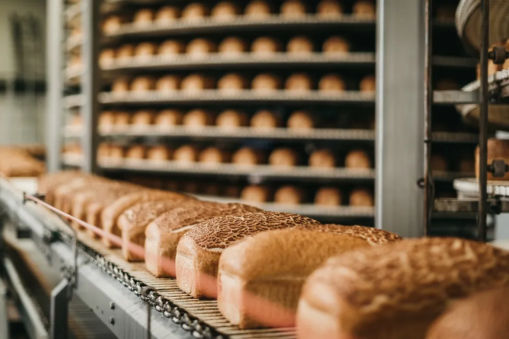 ✔️ خط تولید نان صنعتی تمام اتوماتیک