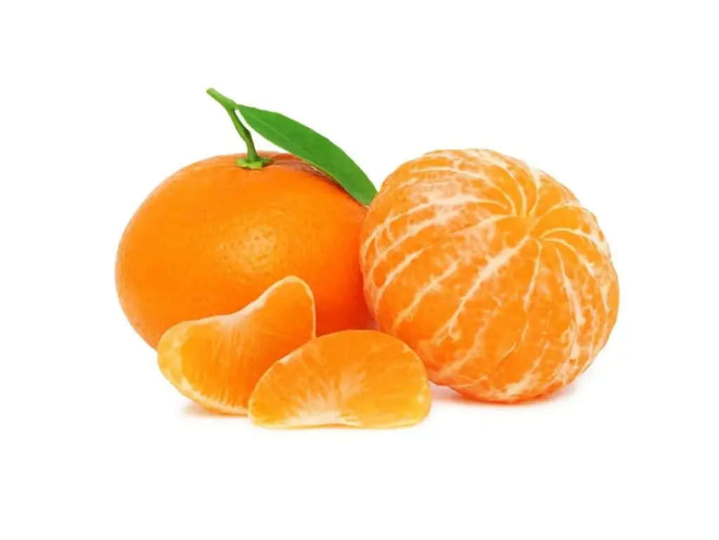 ✔️ ویژگیهای درخت نارنگی