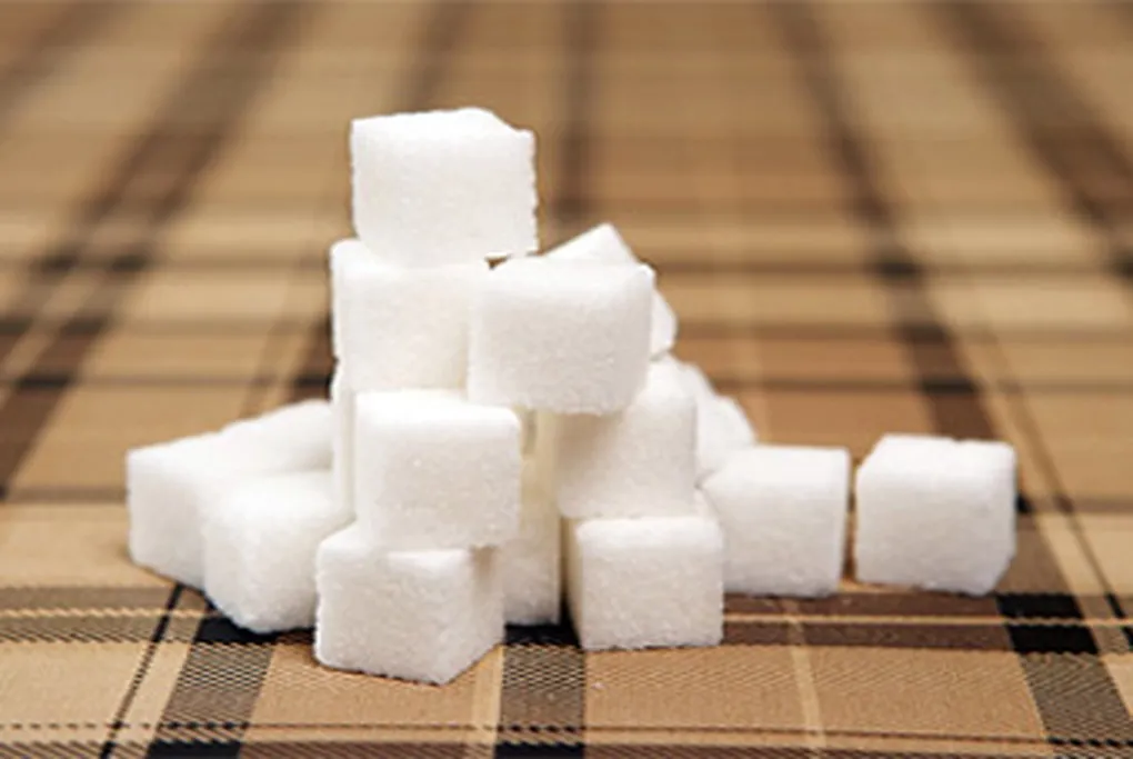 طرح توجیهی تولید قند از شکر