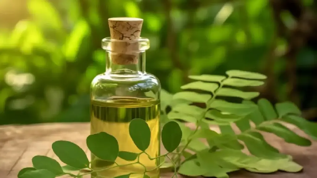 طرح توجیهی کشت مورینگا