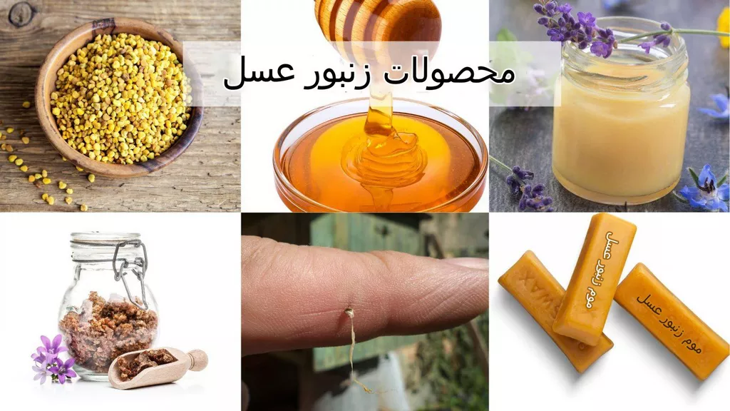 طرح توجیهی زنجیره ارزش عسل و صنایع تبدیلی آن