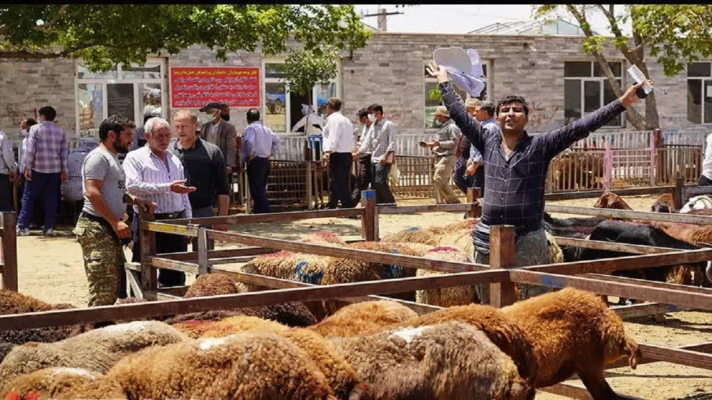 طرح توجیهی میدان عرضه دام زنده