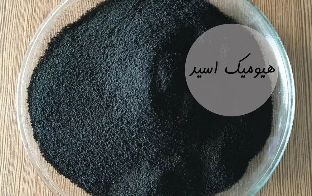 طرح توجیهی تولید هیومیک اسید