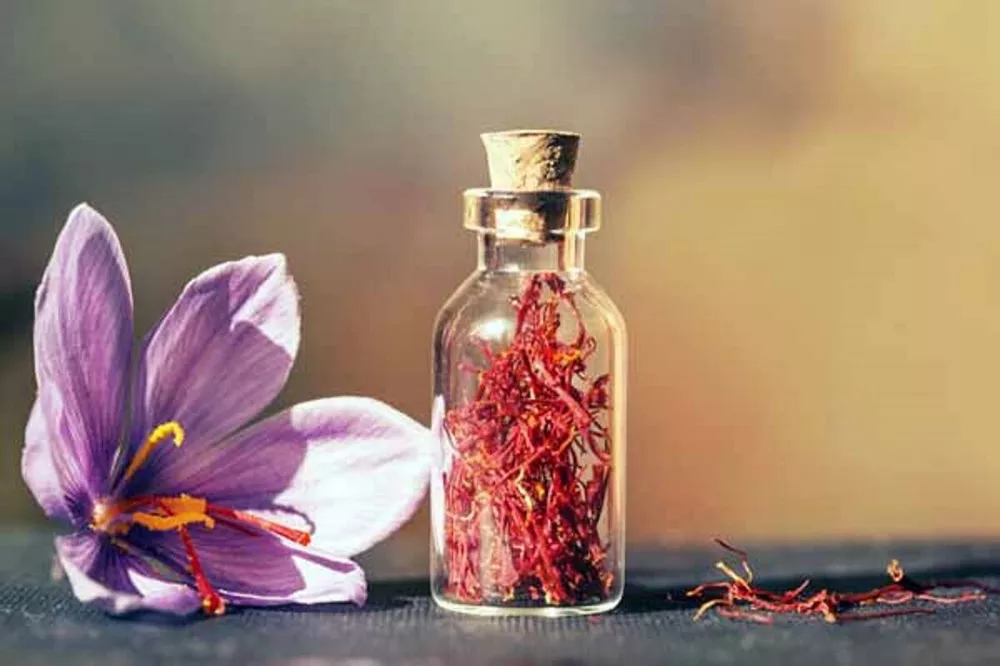 طرح توجیهی صادرات زعفران (۲)