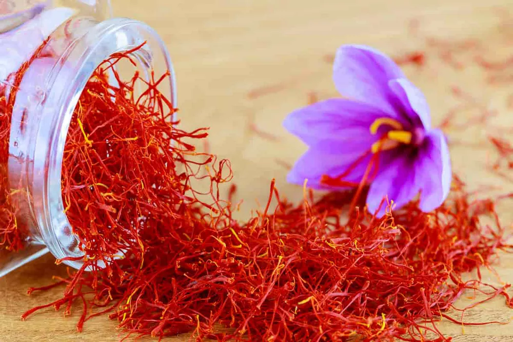 طرح توجیهی صادرات زعفران (۳)