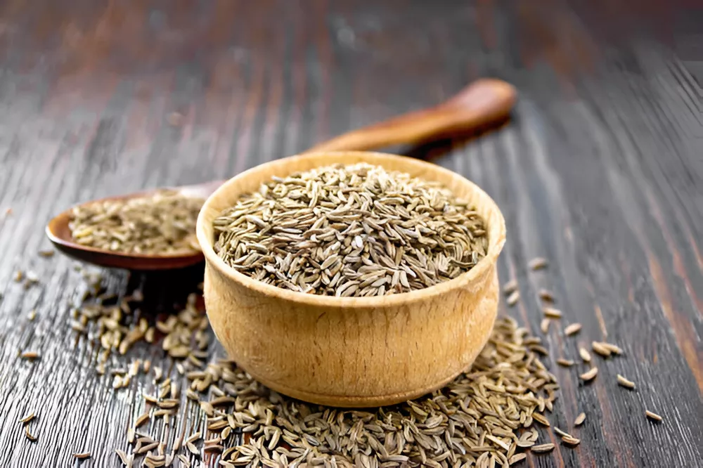 طرح توجیهی پرورش زیره (۲)