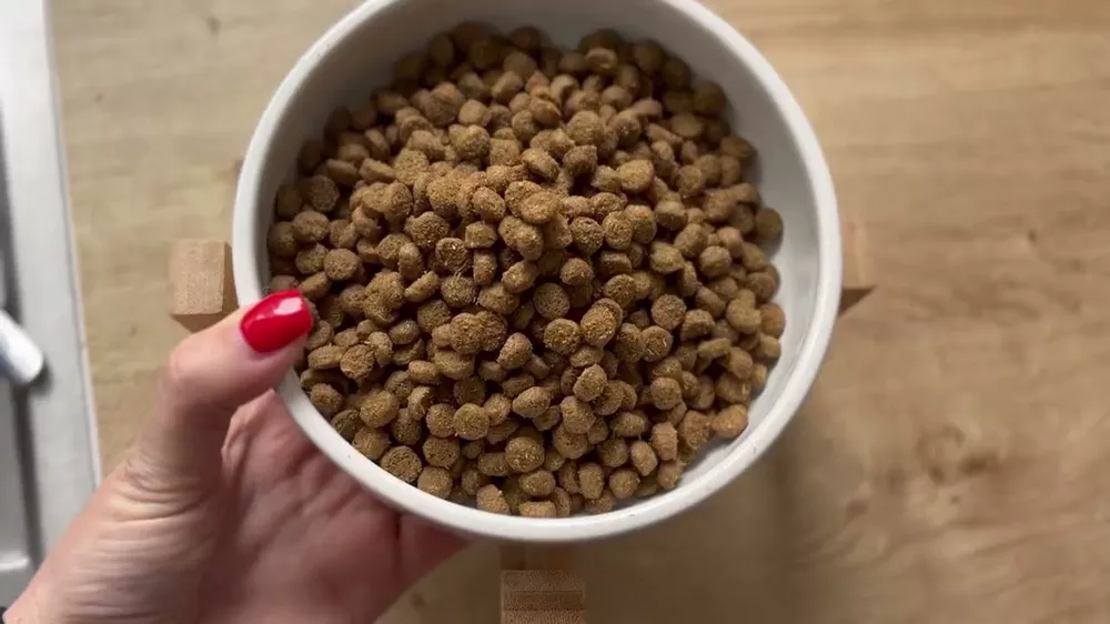 طرح توجیهی تولید محصولات تشویقی سگ و گربه (۲)