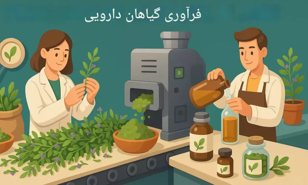 طرح توجیهی مجتمع بسته‌بندی و فرآوری گیاهان دارویی