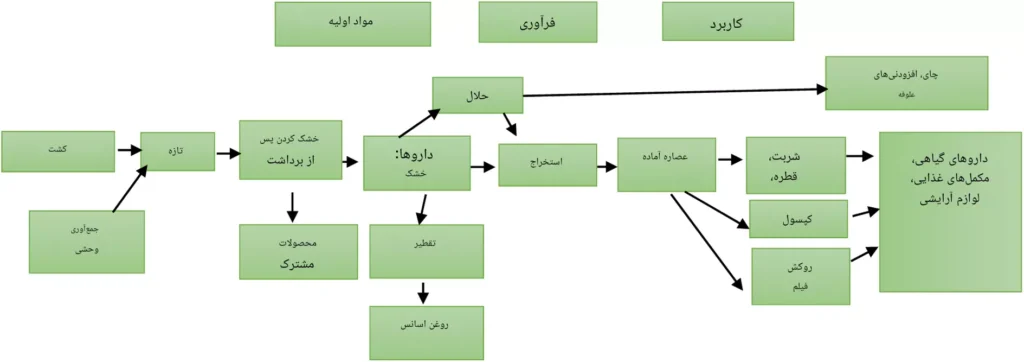 طرح توجیهی مجتمع بسته‌بندی و فرآوری گیاهان دارویی