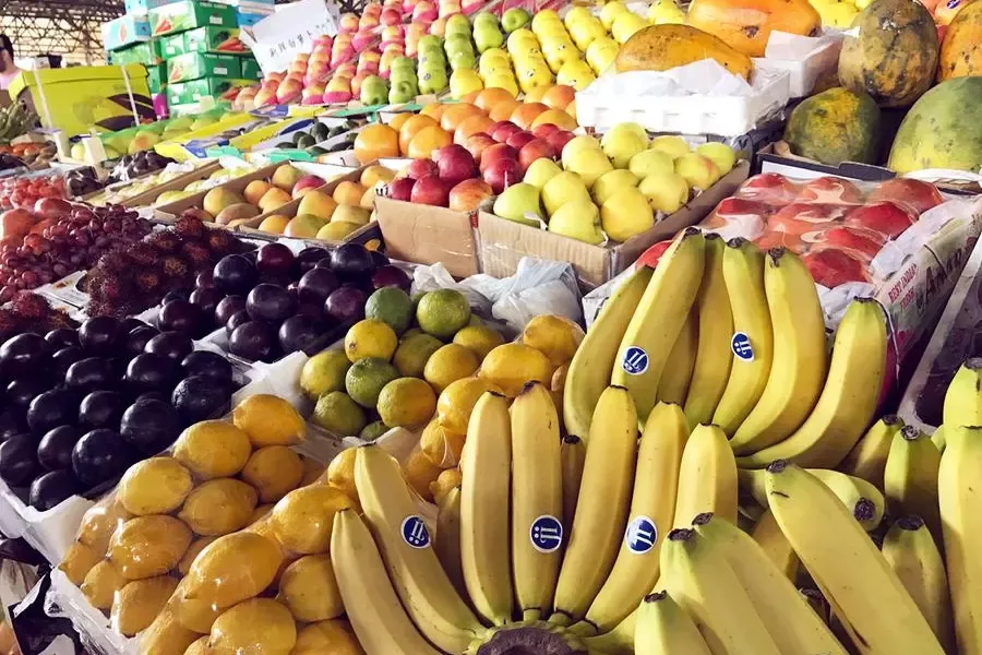 طرح توجیهی بازار میوه و تره بار (۳)