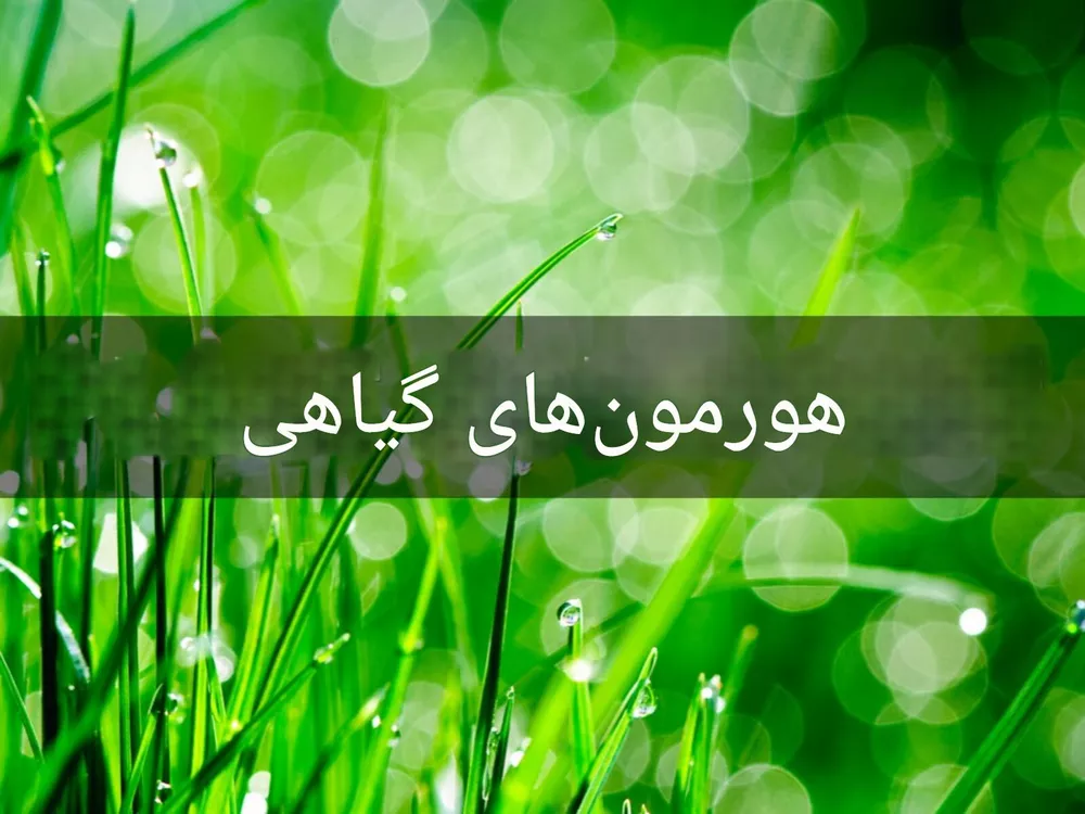 طرح توجیهی تولید هورمون و تنظیم کننده رشد گیاهی (۲)