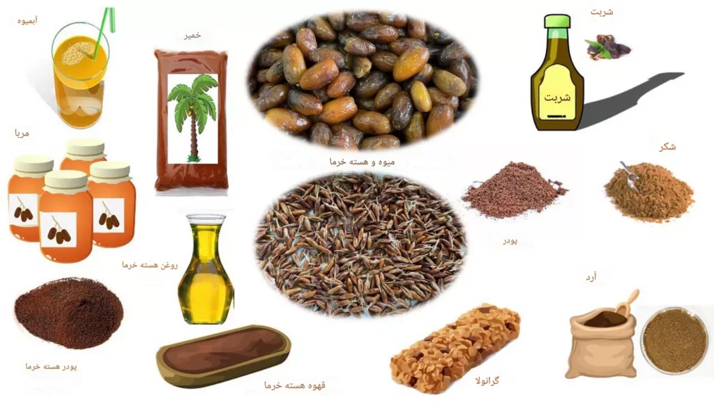 طرح توجیهی فرآوری خرما(۱)
