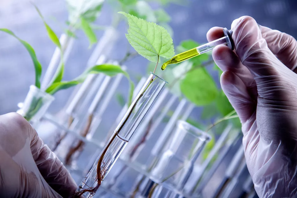 طرح توجیهی تاسیس کلینیک گیاه پزشکی (۲)