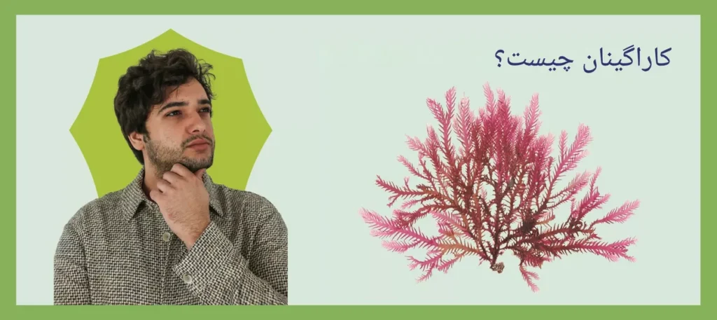 طرح توجیهی تولید صمغ کاراگینان (۱)