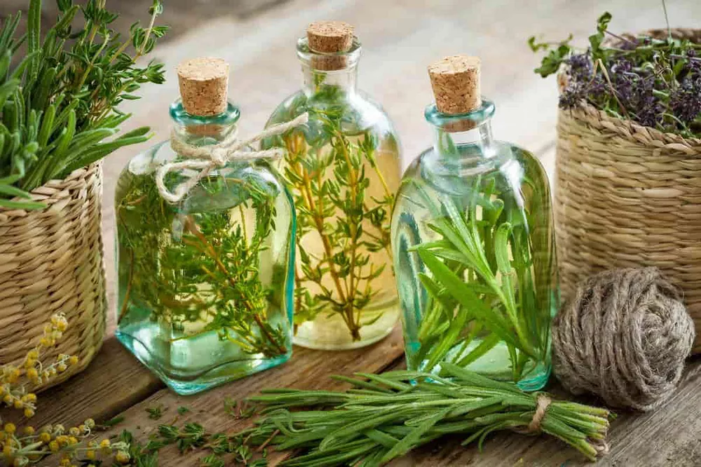 طرح توجیهی عرقیات گیاهی (۳)