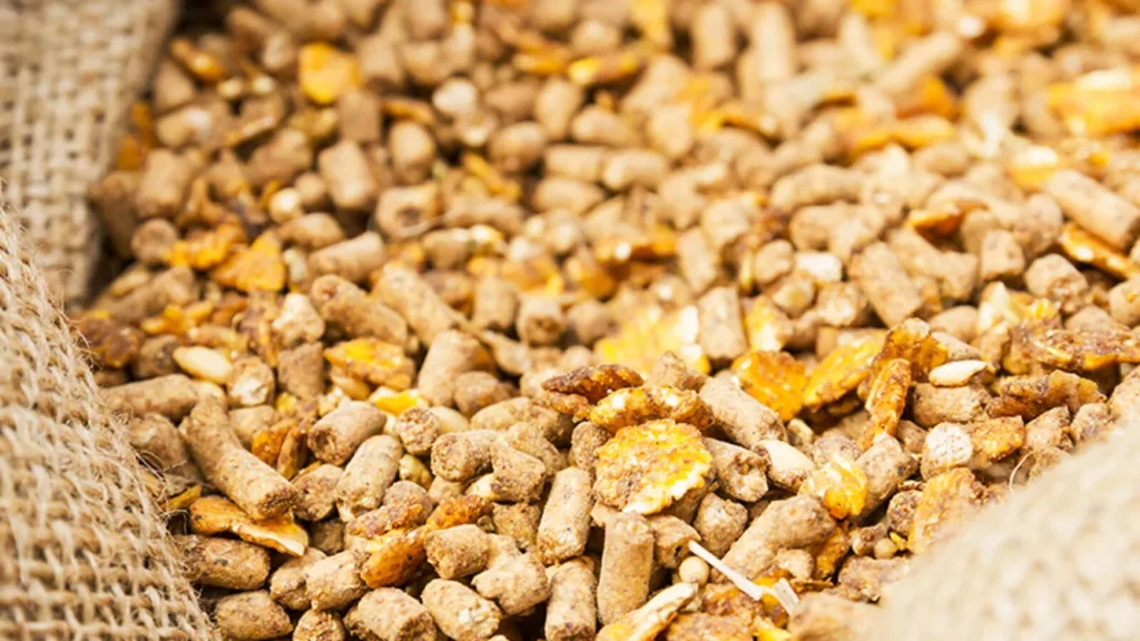 طرح توجیهی واردات کنسانتره خوراک دام (۱)